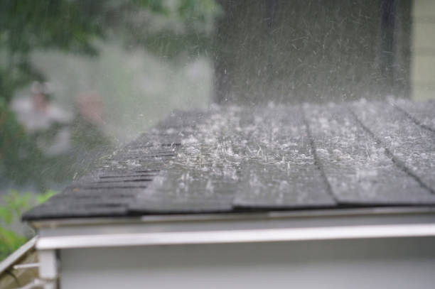 Best Sheet Metal Roofing  in Haleiwa, HI