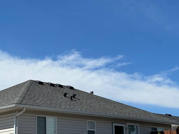 Best Chimney Flashing Repair  in Haleiwa, HI